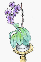 "Orchidee" Glaspause von Bernhard Schulz zu bung 10.3